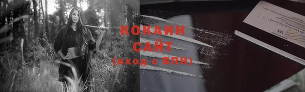 шишки Михайловка