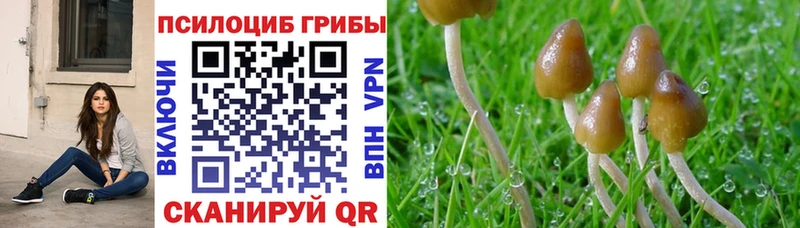 Галлюциногенные грибы GOLDEN TEACHER  Новоуральск 