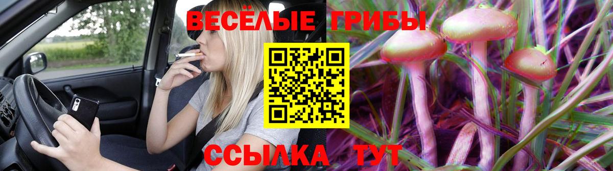 Новоуральск  наркота  Вход с VPN  Галлюциногенные грибы Magic Shrooms 